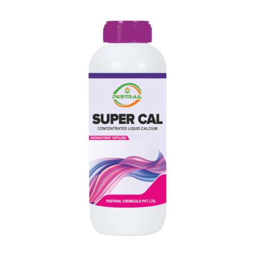 SUPER CAL